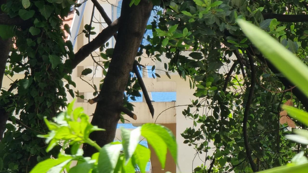 Apartment Savina Χέρτσεγκ Νόβι Εξωτερικό φωτογραφία