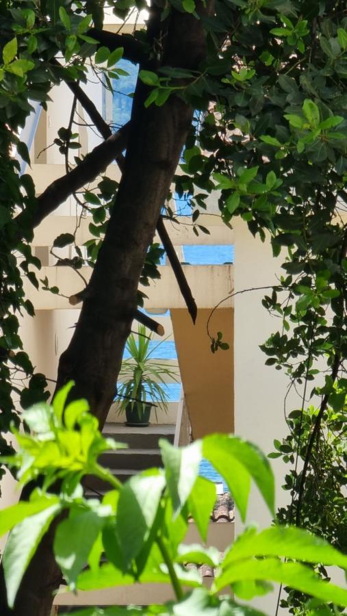 Apartment Savina Χέρτσεγκ Νόβι Εξωτερικό φωτογραφία
